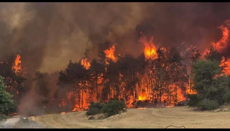 استمرار الحرائق في جبال القدس