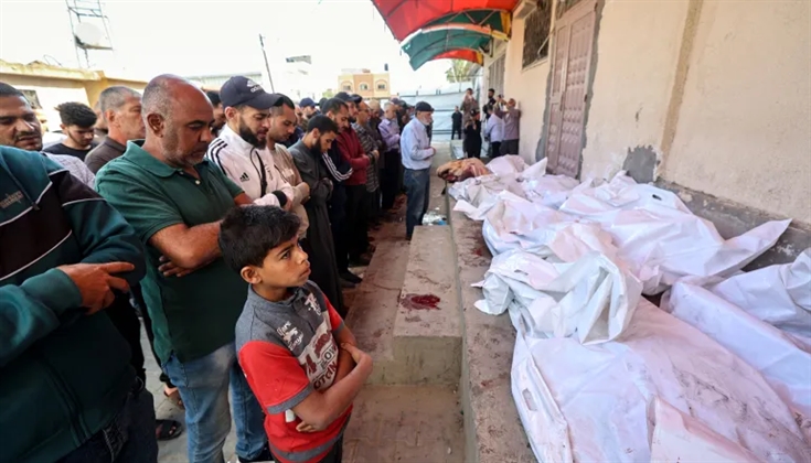 برسالة لستارمر.. 800 محام وأكاديمي يطالبون بوقف الإبادة في غزة