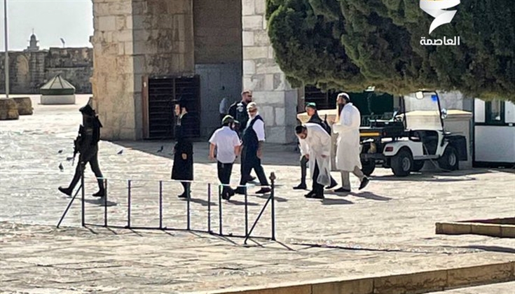 تصفيق وغناء جماعي.. المستوطنون يدنسون الأقصى بعيد رأس السنة