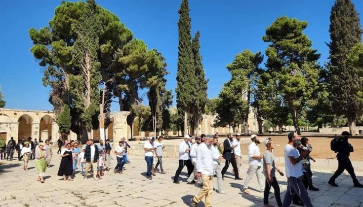 عشرات المستوطنين يقتحمون الأقصى وسط إجراءات مشددة