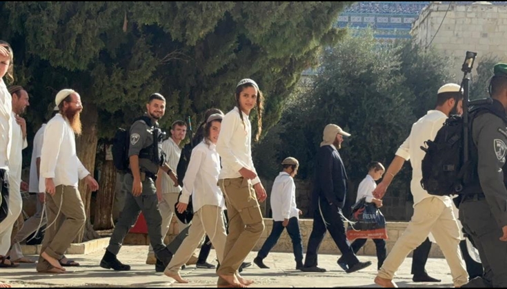 الهدمي لـ"صفا": الأعياد اليهودية فرصة ذهبية لفرض مزيد من التهويد