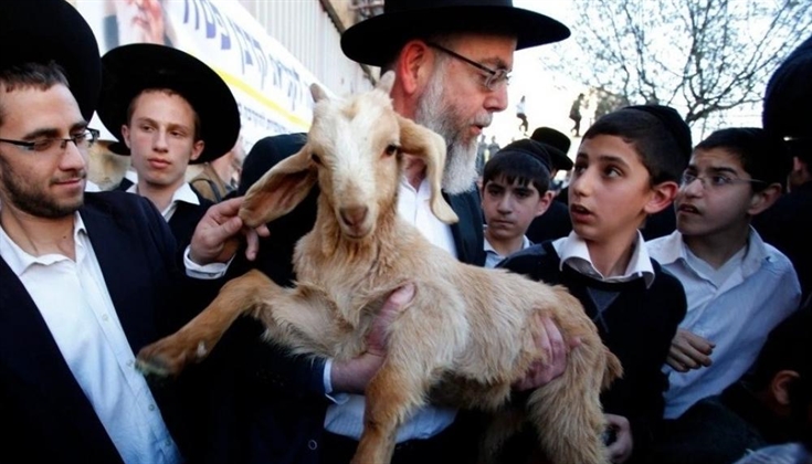 محاولة غير مسبوقة لإدخال قرابين إلى الأقصى وحراس المسجد يتصدّون