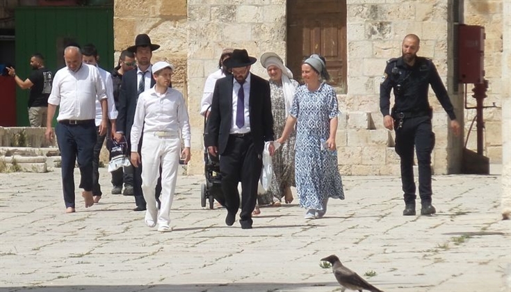 عشرات المستوطنين يقتحمون الأقصى ويؤدون طقوسًا تلمودية