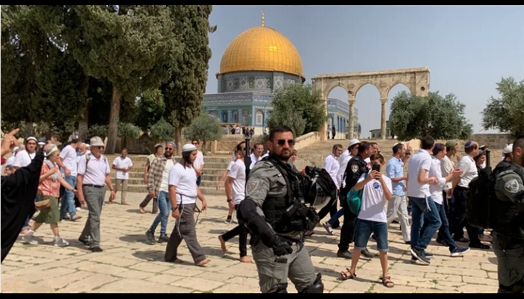 270 مستوطنًا يقتحمون المسجد الأقصى