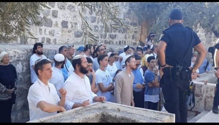 216 مستوطنا يُدنسون باحات "الأقصى"