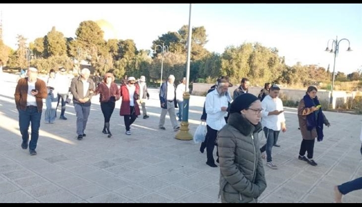 "الأقصى مباشر".. مستوطنون يُؤدون طقوسا تلمودية بباحات المسجد