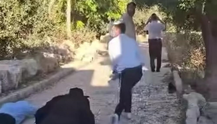 71 مستوطنًا يقتجمون باحات الأقصى