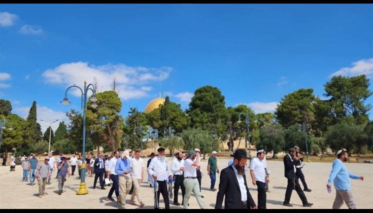 عشرات المستوطنين يؤدون طقوسًا تلمودية ويرقصون في الأقصى