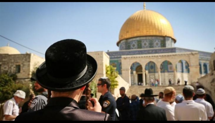 171 مستوطنا يدنسون باحات المسجد الأقصى