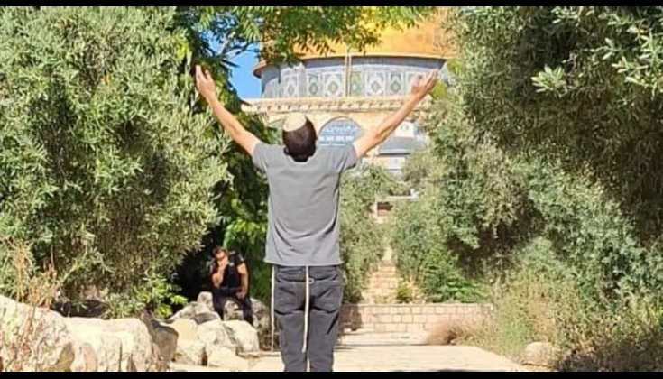 121 مستوطنا اقتحموا المسجد الأقصى صباح اليوم