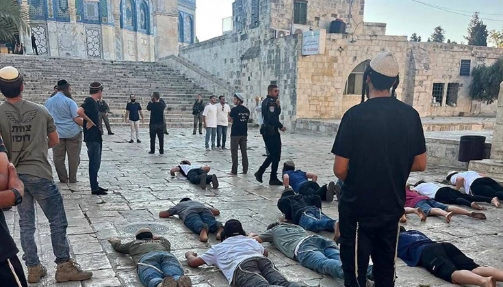 الأقصى أمام أخطر مرحلة.. كيف نحميه من تسارع التهويد؟