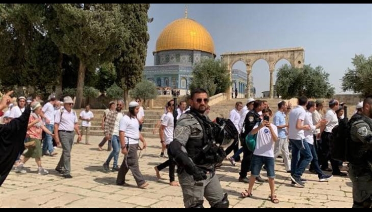 159 مستوطنا يُدنسون باحات المسجد الأقصى