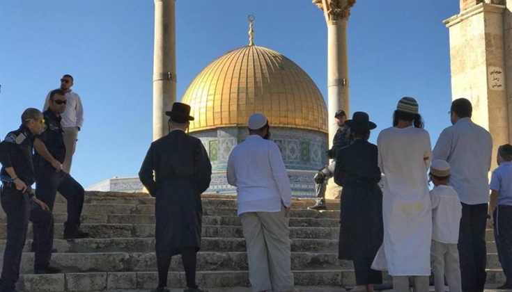 181 مستوطنًا يقتحمون باحات الأقصى